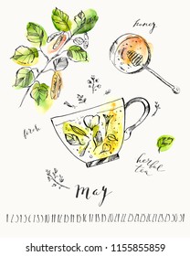 May calendar with ink calligraphy elements and spring herbal tea with honey and birch branch. Spring ink and watercolor stain illustration.