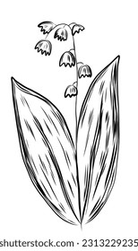 Mögliche Blüte mit Blatt im Skizzenstil