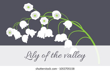 May Lily. Vector Illustration with Lily of the Valley. Beautiful Template with Convallaria Flowers. Spring Flowers in Hipster Style for Design, Card, Greeting, Invitation, Wedding, Poster, Banner.