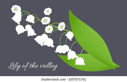 May Lily. Vector Illustration with Lily of the Valley. Beautiful Template with Convallaria Flowers. Spring Flowers in Hipster Style for Design, Card, Greeting, Invitation, Wedding, Poster, Banner.