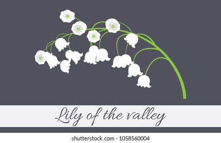 May Lily. Vector Illustration with Lily of the Valley. Beautiful Template with Convallaria Flowers. Spring Flowers in Hipster Style for Design, Card, Greeting, Invitation, Wedding, Poster, Banner.