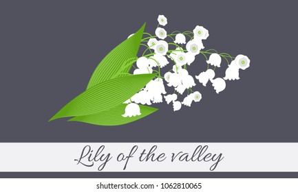 May Lily. Vector Illustration with Lily of the Valley. Beautiful Template with Convallaria Flowers. Spring Flowers in Hipster Style for Design, Card, Greeting, Invitation, Wedding, Poster, Banner.