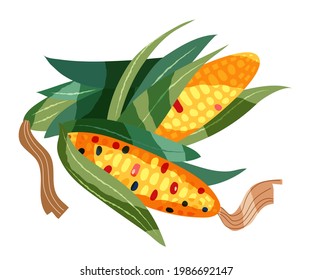 Mayan culture, yellow corn in leaves. Ancient civilisation traditional icons and symbols in Mexico vector illustration. Two sweet vegetables isolated on white background.