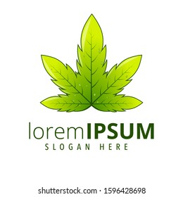 mayflower green cannabis logo pirates