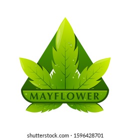 mayflower green cannabis logo pirates
