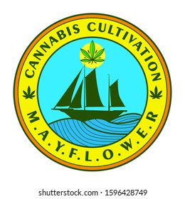 mayflower green cannabis logo pirates