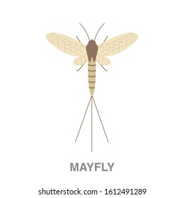 Mayfly flat icon on white transparent background. You can be used mayfly icon for several purposes.