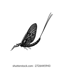 Mayfly inseto com asas detalhadas e corpo delicado, renderizado em um estilo de silhueta preta minimalista, ideal para a natureza, entomologia e projetos de design vintage.