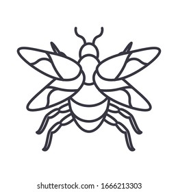 icono del insecto mayfly sobre fondo blanco, estilo de detalle de línea, ilustración vectorial