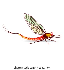 Mayfly vector