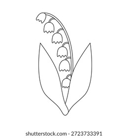Maio-lírio isolado em um fundo branco. Ícone linear, ilustração vetorial, página de coloração. Flor da primavera cedo, tempo da Páscoa. Dia das mães ilustração de férias de primavera. Lírio do vale.
