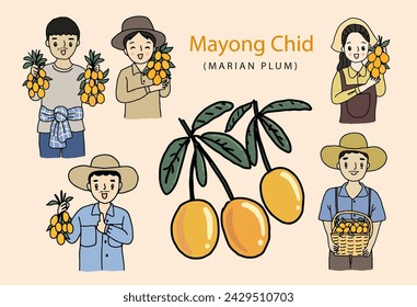 Mayong Chid in Thai language it mean “Sweet Yellow Marian Plum”, Maraian plum gardener set. Hand drawn style vector illustration.