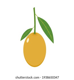 Mayongchit(Sweet yellow marian plum)with green leaf Thai fruit.Flat design.Isolated on white background.