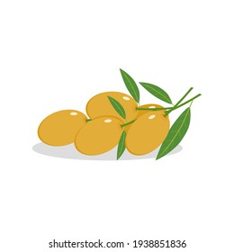 Mayongchit(Sweet yellow marian plum)with green leaf Thai fruit.Flat design.Isolated on white background.