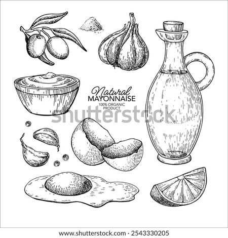 Mayonnaise sauce vector drawing. Organic homemade mayo cream ingredients sketch. Olive oil, eggs, lemon, garlic, pepper hand drawn illustration. Packaging design concept, banner, template,