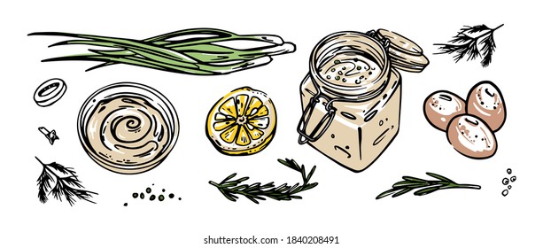 Mayonnaise sauce or yogurt or tar tare in bowl and glass jar. Mustard with onion, lemon, eggs and rosemary. Hand drawn vector illustration.