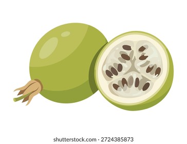 Maypop Fruit Vektorgrafik. Lila Passionsblume Grün Hülsen und Blätter isoliert. Wild hardy Passionsfrucht