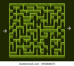 Maze 3d for puzzle game asset , labyrinth with green garden topiary bushes and park . Top down view, game level design. Vector illustration