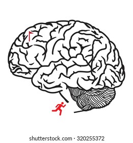 Maze for children ( Human brain ). Vector illustration