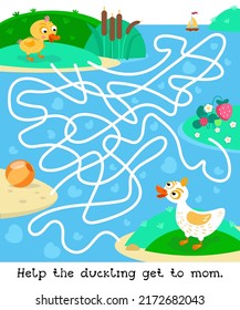 Maze game, activity for children. Help the duckling get to mom. Trace his path. Vector illustration.