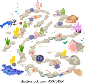 Maze Game for Children with Hermit crab and seashell