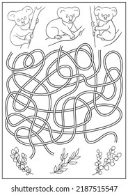 Maze game and coloring book labyrinth for children. Find way for koalas to food. Education activity page and worksheet. Cartoon vector illustration.