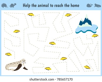 Maze game. Educational children cartoon game for children of preschool age. Help to find the way home to the Arctic walrus and feed him fish. Vector illustration