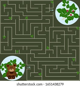 Maze game for kids bear and raspberry Bush, help the bear find the way to the raspberry berry, green background, vector illustration