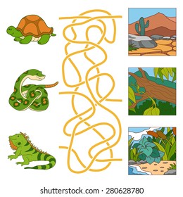 Maze game (turtle, snake, iguana and habitat)