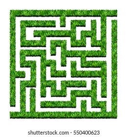 Maze of green bushes, labyrinth garden. Vector illustration. Isolated on white background