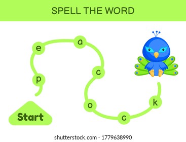 Maze for kids. Spelling word game template. Learn to read word peacock, printable worksheet. Activity page for study English. Educational activity for development of children. Vector illustration.