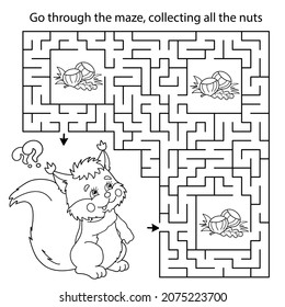 Maze or Labyrinth Game. Puzzle. Coloring Page Outline Of cartoon squirrel with nuts. Coloring book for kids.