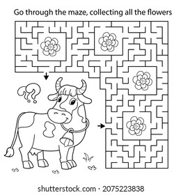 Maze or Labyrinth Game. Puzzle. Coloring Page Outline Of cartoon cow with bell. Collect flowers . Coloring book for kids.