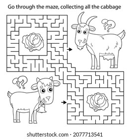 Juego de laberinto o laberinto. Rompecabezas. Esbozo de página de color de la cabra de dibujos animados con cabras o niños. Animales de granja con sus cachorros. Libro de colorear para niños.