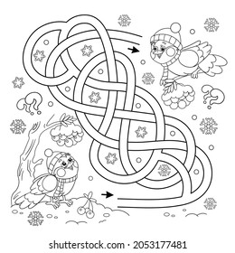Maze oder Labyrinth Game. Rätsel. Tangled Road. Farbseite Umriss der Cartoon-Vögel im Winter. Vogelzuführung. Farbbuch für Kinder.