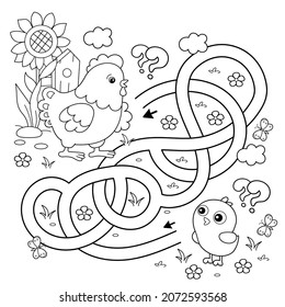 Juego de laberinto o laberinto. Rompecabezas. Camino enmarañado. Esbozo de página de color del pollo de dibujos animados con pollitas. Libro de colorear para niños.