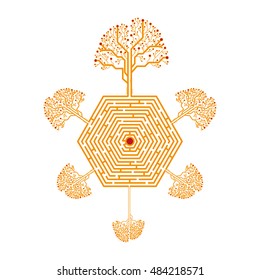 A maze is a path or collection of paths