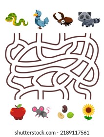 Maze puzzle game for children pair cute cartoon snake dove beetle raccoon with the correct food printable worksheet