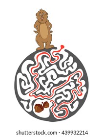 Maze puzzle for kids with Marmot and Nut. Labyrinth illustration, solution included.