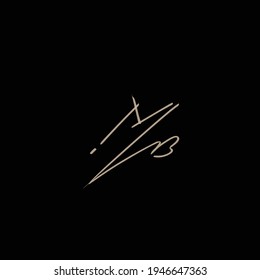Logo de escritura manual inicial de MB para identidad