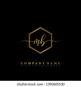 MB Initial luxury handwriting logo vector