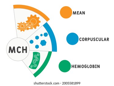 MCH - Mean Corpuscular Hemoglobin acronym, medical concept background. vector illustration concept with keywords and icons. lettering illustration with icons for web banner, flyer, landing page