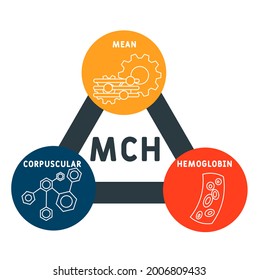 MCH - Mean Corpuscular Hemoglobin acronym, medical concept background. vector illustration concept with keywords and icons. lettering illustration with icons for web banner, flyer, landing page