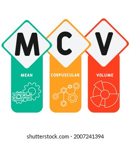 MCV - Mean Corpuscular Volume acronym. medical concept background.  vector illustration concept with keywords and icons. lettering illustration with icons for web banner, flyer, landing 
