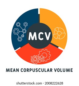 MCV - Mean Corpuscular Volume acronym. medical concept background.  vector illustration concept with keywords and icons. lettering illustration with icons for web banner, flyer, landing 