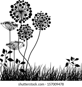 Meadow
