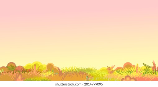 Meadow. Autumn grassy glade. Sunset. Grass close up. Rural beautiful landscape. Wild uncut lawn. Cartoon style. Flat design. Illustration vector art