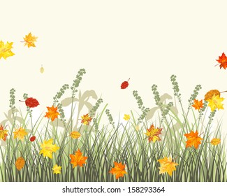 Meadow background with maple leaves. All objects are separated. Vector illustration.