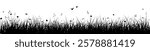 Meadow banner, grass border, vector silhouette background