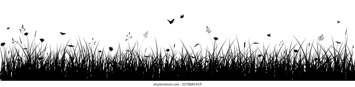 Meadow banner, grass border, vector silhouette background